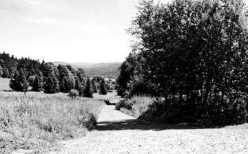 Das Dorf Buchwald im Böhmerwald 1940 und ein Foto aus derselben Perspektive 2003. 